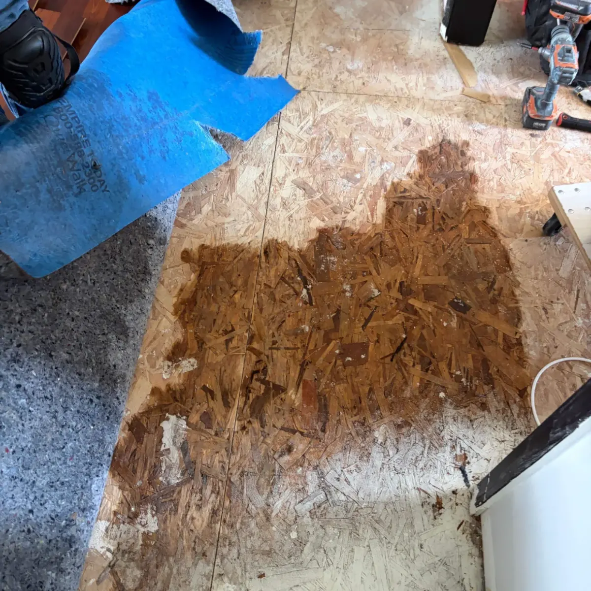 Before water restoration